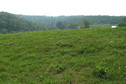 #8: View to the west from the confluence point.