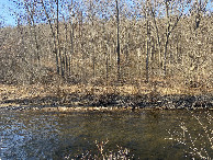 #2: View to the north from the confluence point. 