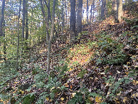 #3: View to the east, from the confluence point.  