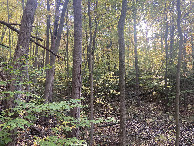 #5: View to the west from the confluence point. 