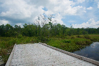 #2: View East (from 104 m South of the point)