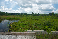 #3: View South (from 104 m South of the point)