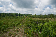 #4: View West (from 104 m South of the point)