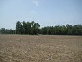 #3: South View
