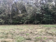 #6: View to the east from the confluence point. 