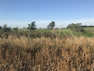 #7: View to the south from the confluence point. 