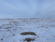 #3: View to the east from the confluence point