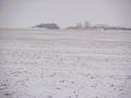 #3: View to the north from the confluence site.