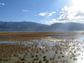 #3: View East - duck hunters were in blinds at left center of image