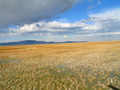 #5: View West towards Antelope Island