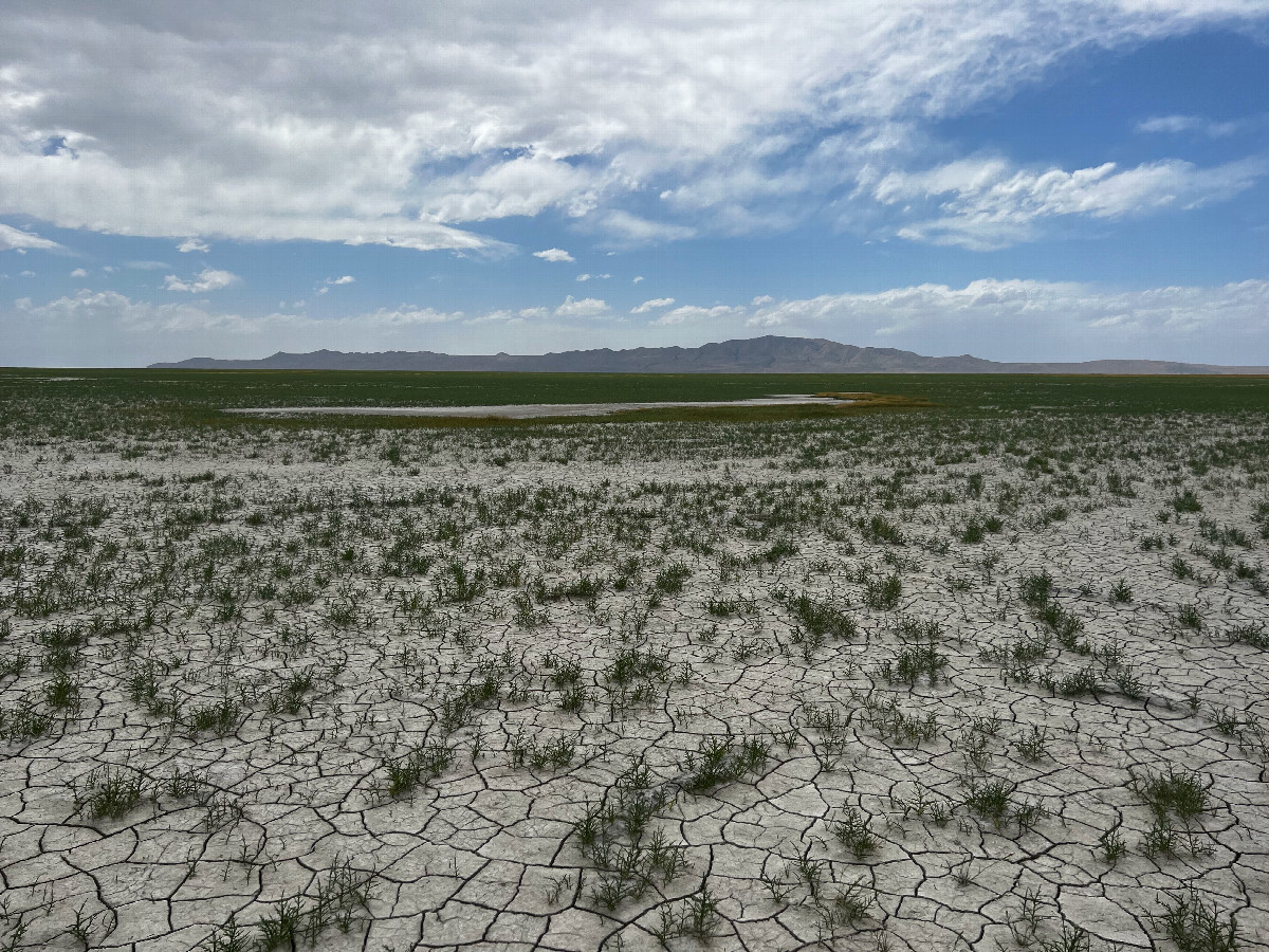 The confluence point lies on the (dried-up) shoreline of Great Salt Lake.  (This is also a view to the West, towards Antelope Island.)