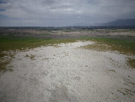 #8: View North, from 120m above the point