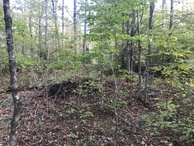 #7: View to the south from the confluence point. 