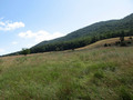 #5: View from the WV State Police station.  Confluence is in the woods in the distance.