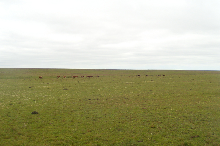 Vista hacia el sur - View to the south