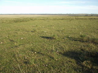 #1: Looking South