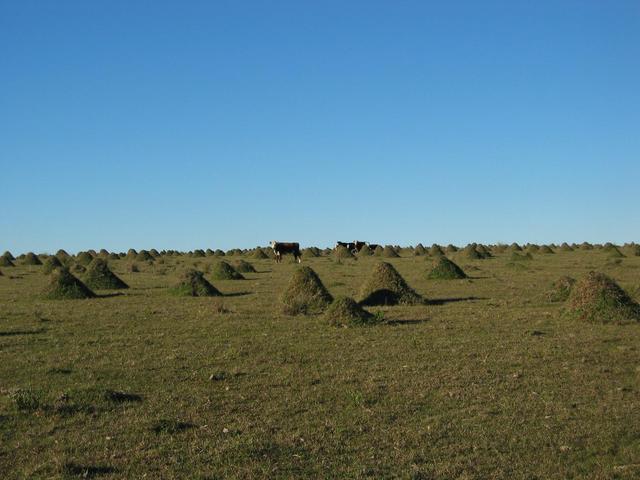 Mounds