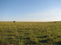 #4: South view from the confluence point