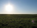 #5: West view from the confluence point