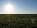 #5: West view from the confluence point