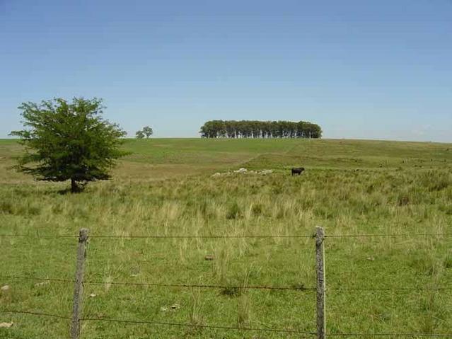 Vista hacia el oeste