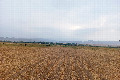 40°N 68°E preview image