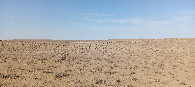 #3: West view