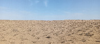 #4: North view
