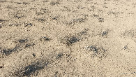 #6: Ground zero