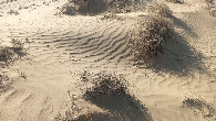 #8: Sand under feet