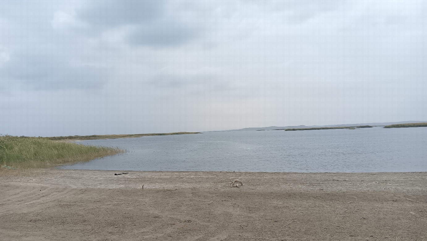 View from the beach
