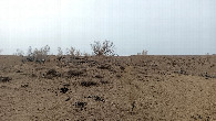 #3: South-west view