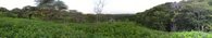 #9: Panorama in 10 m distance