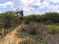 #3: South view - Vista verso Sur