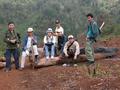 #8: The Team