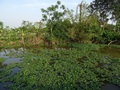 #4: South view