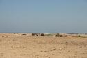 #6: Huts near the wādiy entrance