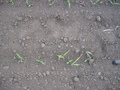 #3: Ground Zero