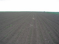 #7: View to the North