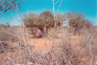 #1: View south