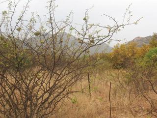 #1: General view