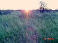 #3: West view
