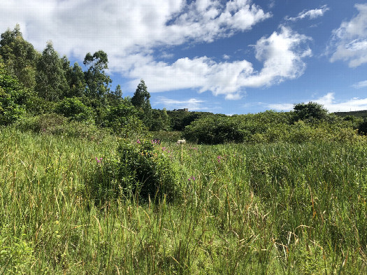 #1: The Confluence Point from 67 m Distance