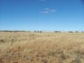 #3: View South