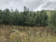 #3: View to the West