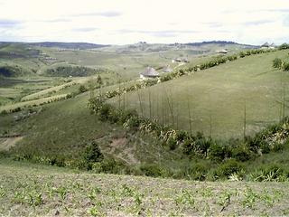 #1: View east