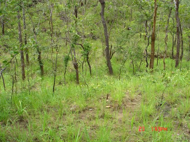 Confluence site