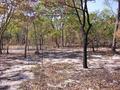 #4: View South