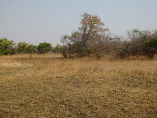 #1: The Confluence from 20 m distance