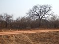 #4: View to the North